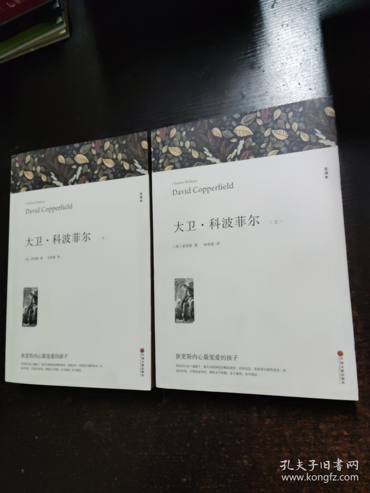 大卫·科波菲尔 全译本平装版(全2册)
