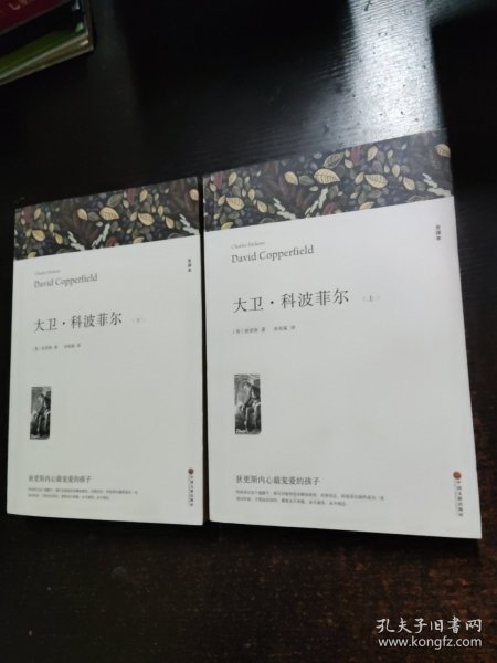 大卫·科波菲尔 全译本平装版(全2册)