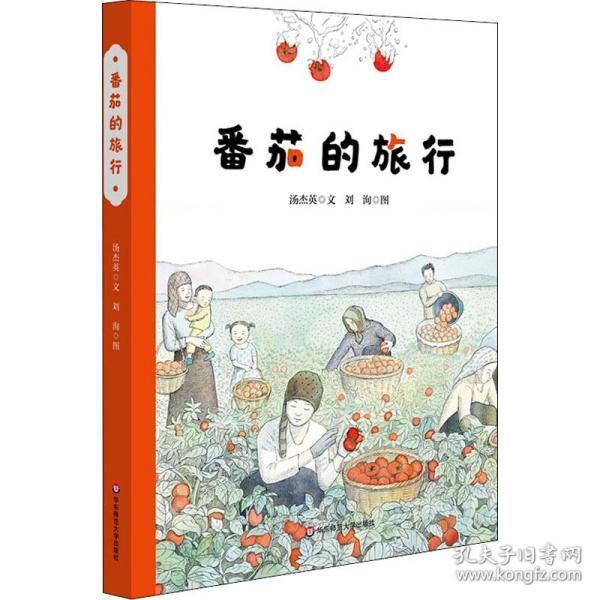 保正版！番茄的旅行9787576005950华东师范大学出版社汤杰英