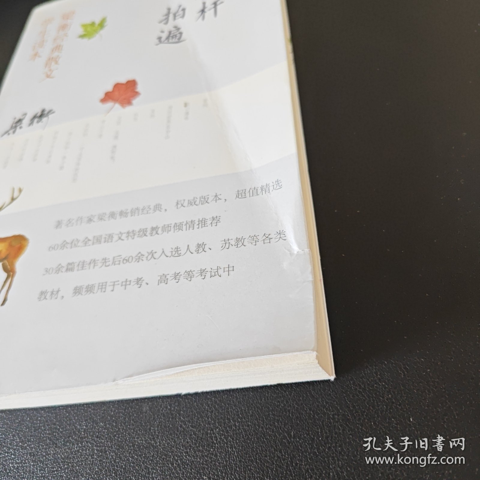 把栏杆拍遍梁衡经典散文学生读本