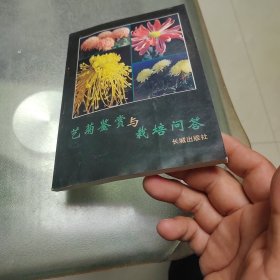 艺菊鉴赏与栽培问答