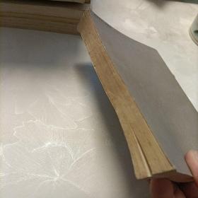 简明法医学