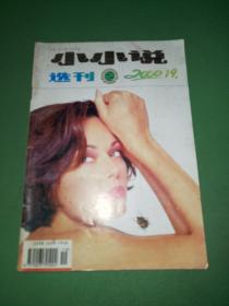 小小说选刊2000年19期