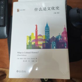 什么是文化史（第三版）