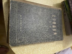 化学药品辞典正编