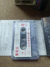 磁带 葡萄皮