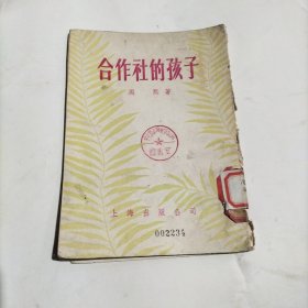 合作社的孩子：