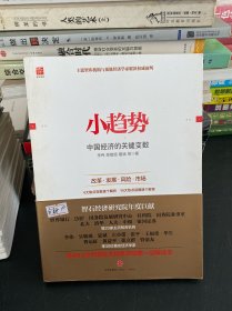 小趋势：中国经济的关键变数