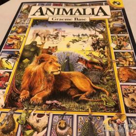 Animalia