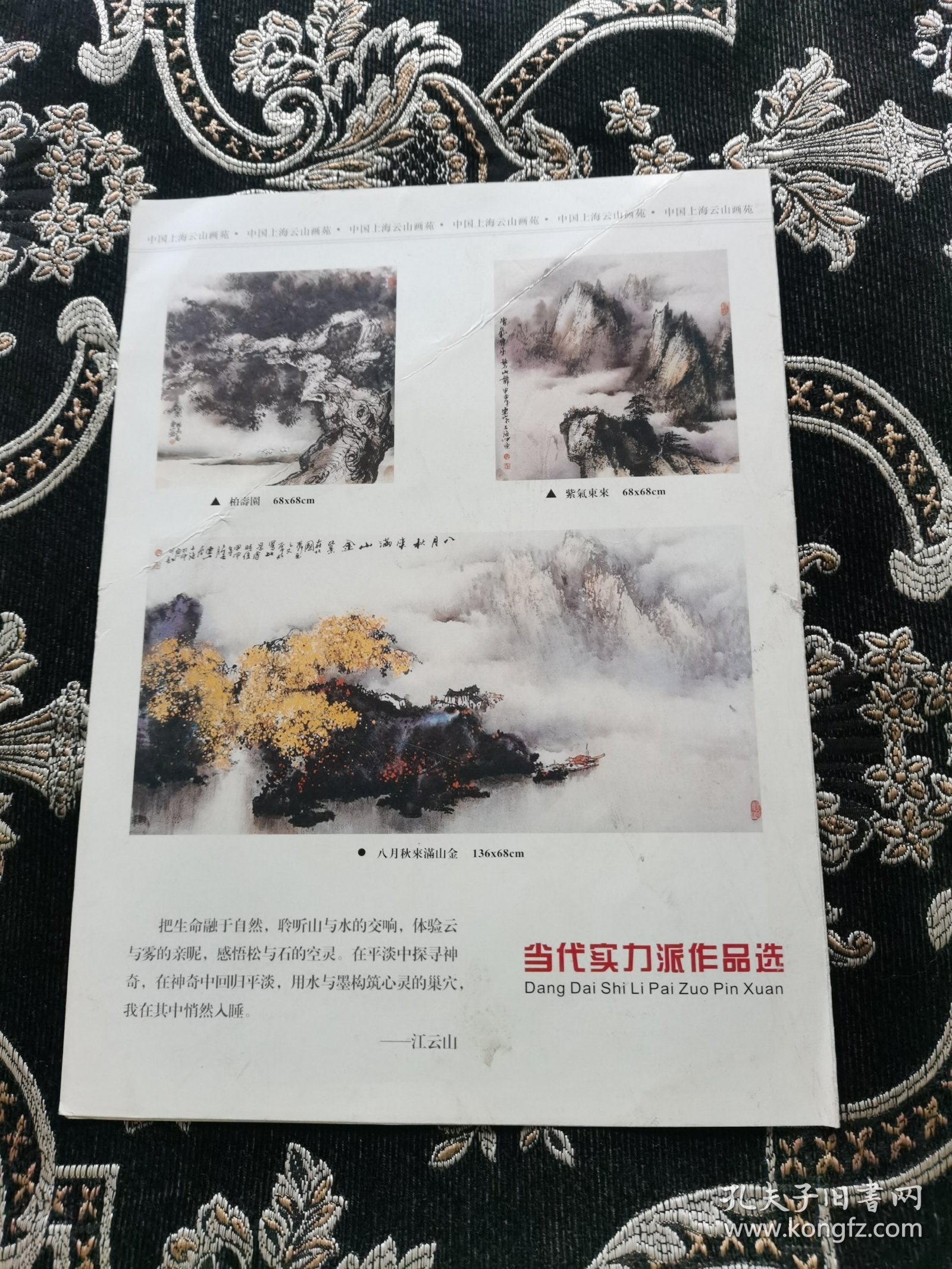 江云山书画作品集