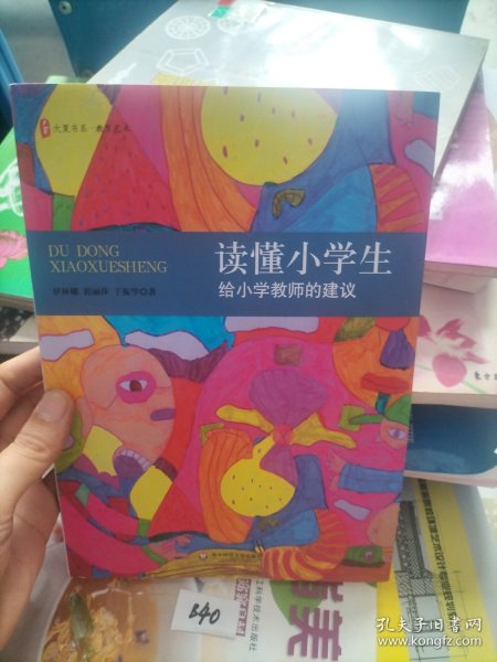 大夏书系·读懂小学生：给小学教师的建议