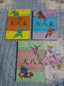 《大八义（全三集》：神偷赵华阳品稍弱. 八义斗三仙 三拆聚宝楼）.书品如图，见描述