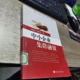 中小企业集群融资