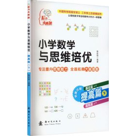 小学数学与思维培优 提高篇 下