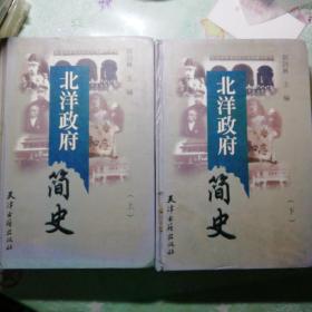 北洋政府简史（上下）