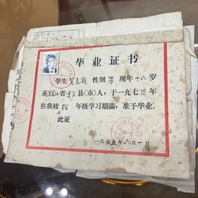 70 80年代毕业证书三十一张合售