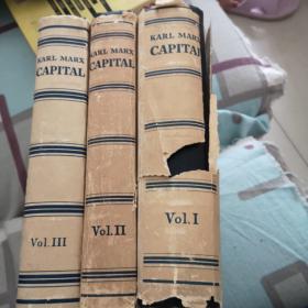 CAPITCL（资本论  外文版）