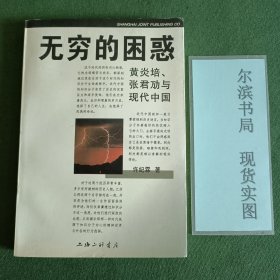 无穷的困惑：黄炎培、张君劢与现代中国