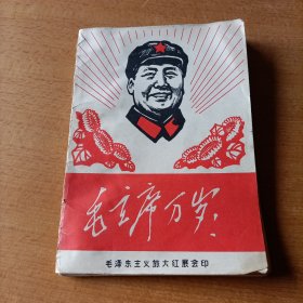 毛主席万岁！毛主席画像手书选页 红代会中央工艺美院编绘 毛泽东主义旅大红展会印 30张