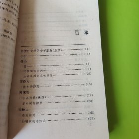 少年文学魔杯丛书 艺术幻化中的世界(一版一印馆藏书)