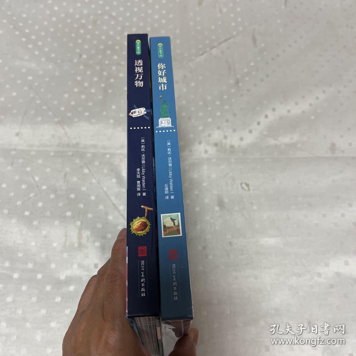 青豆童书馆：透视万物+你好城市(全2册) 绘本