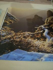 张家界风光摄影精品集:[中英日文本]