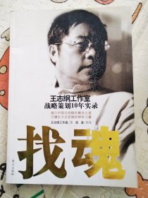 找魂 王志纲工作室战略策划10年实录