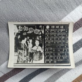 老照片式贺年卡片——红珊瑚（1张）