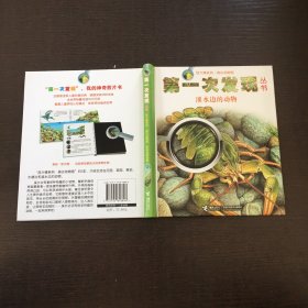 第一次发现丛书·放大镜系列：溪水里的动物