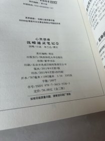 心灵使者 沈嵘通灵笔记1：中国唯一人鬼对话现场实录
