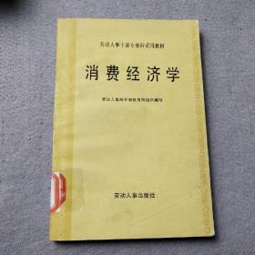 消費(fèi)經(jīng)濟(jì)學(xué)
