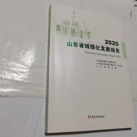 2020山东省城镇化发展报告