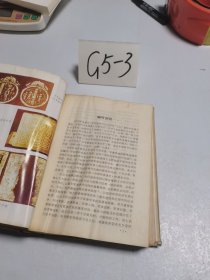 中国军事通史：第十四卷 元代军事史