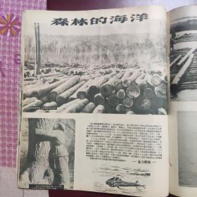 东北画报 第68期 1950.1.30日出版