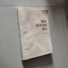 湖南武术发展报告