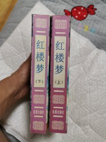 中国古典文学普及读本：红楼梦（上下）