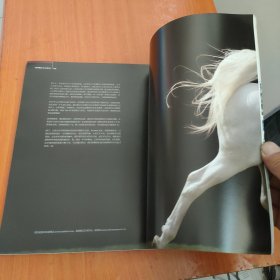 马术杂志：2012年第10期