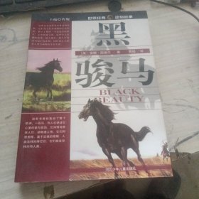黑骏马