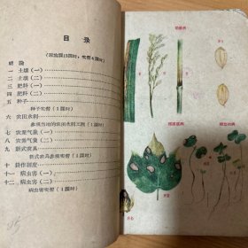 高级小学试用课本农业常识1-4珍藏50年代