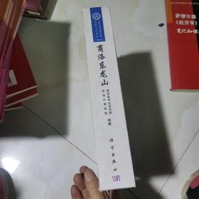 陕西省考古研究院田野考古报告（第58号）：商洛东龙山