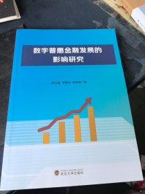 数字普惠金融发展的影响研究 财政金融 赵红丽,李静珂,黄咏梅 新华正版