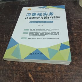 消费税实务政策解析与操作指南