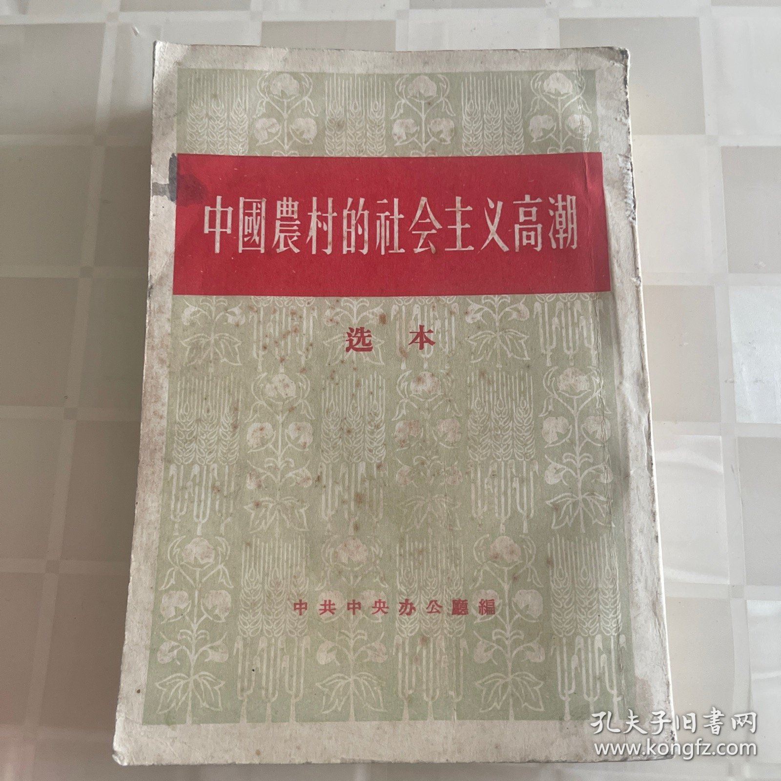 中国農村的社会主义高潮