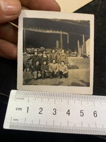 50年代，杭州市园林管理局主办菊花展前合影