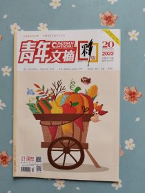 刘德华内页之《青年文摘·彩版》2022年10月下半月（包含石学念、郭昊、邱大川、刘德华、张伟丽、秦博精彩内页）