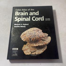 Color Atlas of the Brain and Spinal Cord 大脑和脊髓的彩色图谱