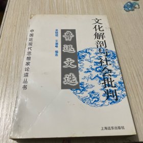 文化解剖与社会批判