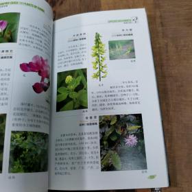 常见植物野外识别手册