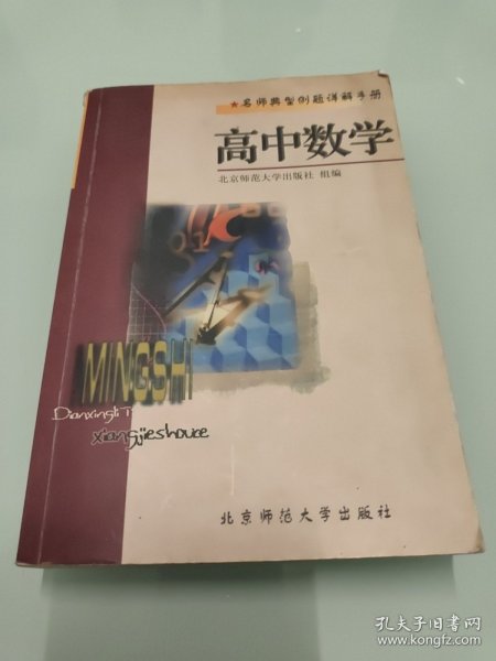 名师典型例题详解手册.高中数学