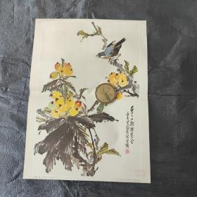 批把小鸟(人民美术出版社藏)中国画